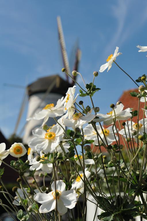 Hotel Hotel Wemeldinge